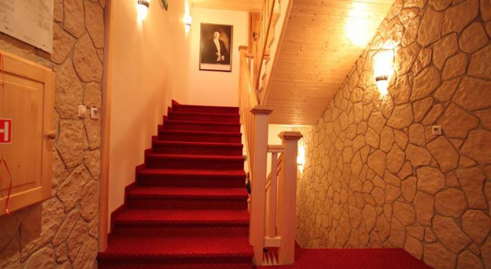 Horsky Hotel Vidly การ์โลวา สตูดังกา ภายนอก รูปภาพ